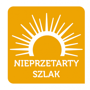 ns logo